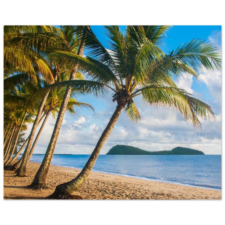 Palm Cove