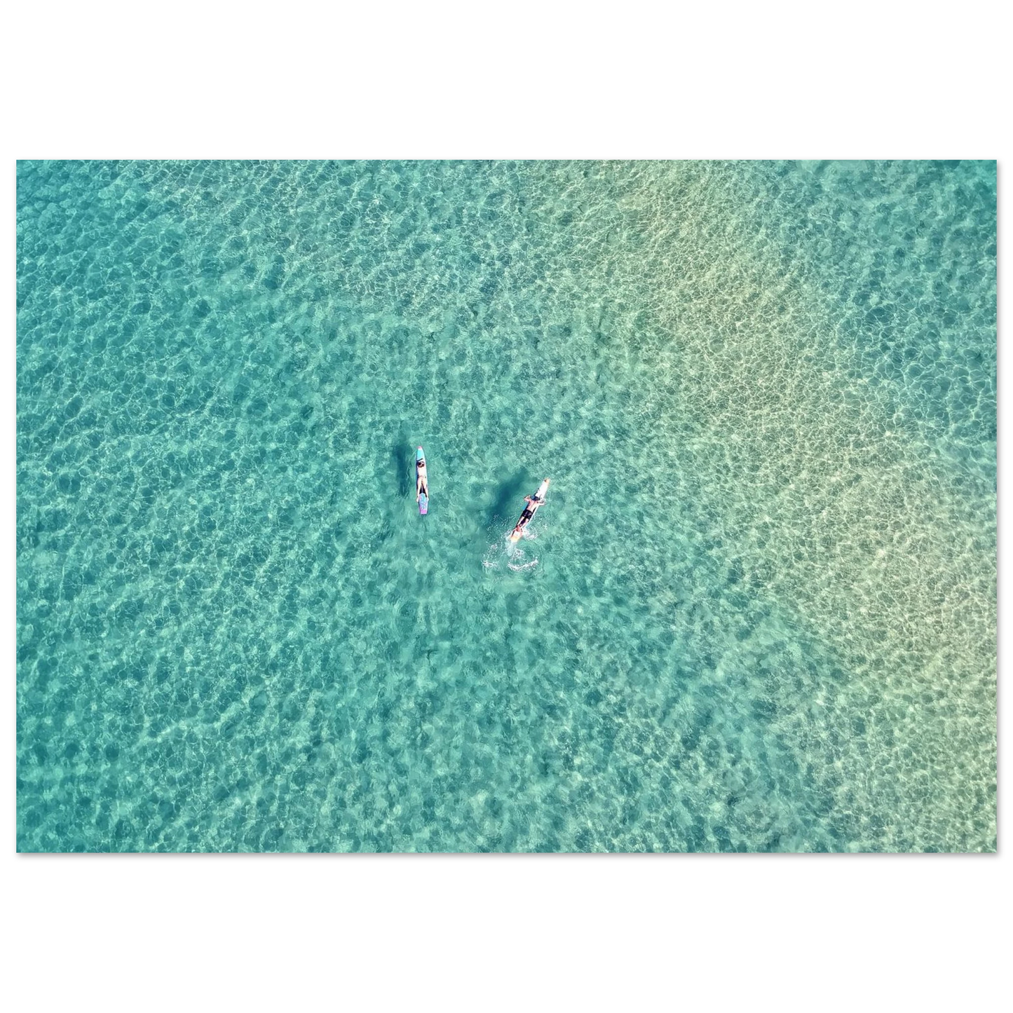 0902332d-da20-4177-a160-db0c27624884