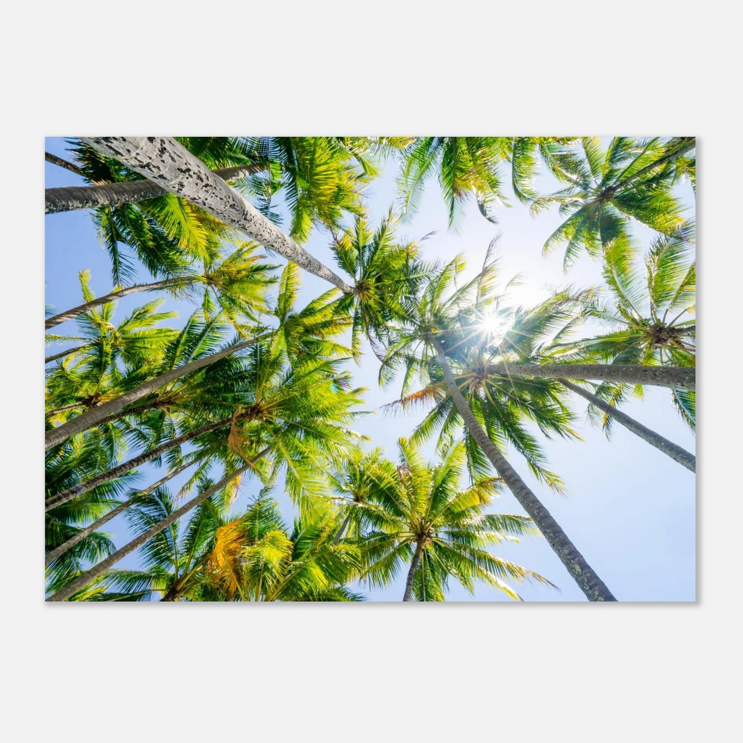 0ff29ad9-d473-4c31-bcaf-c400ca025fc5