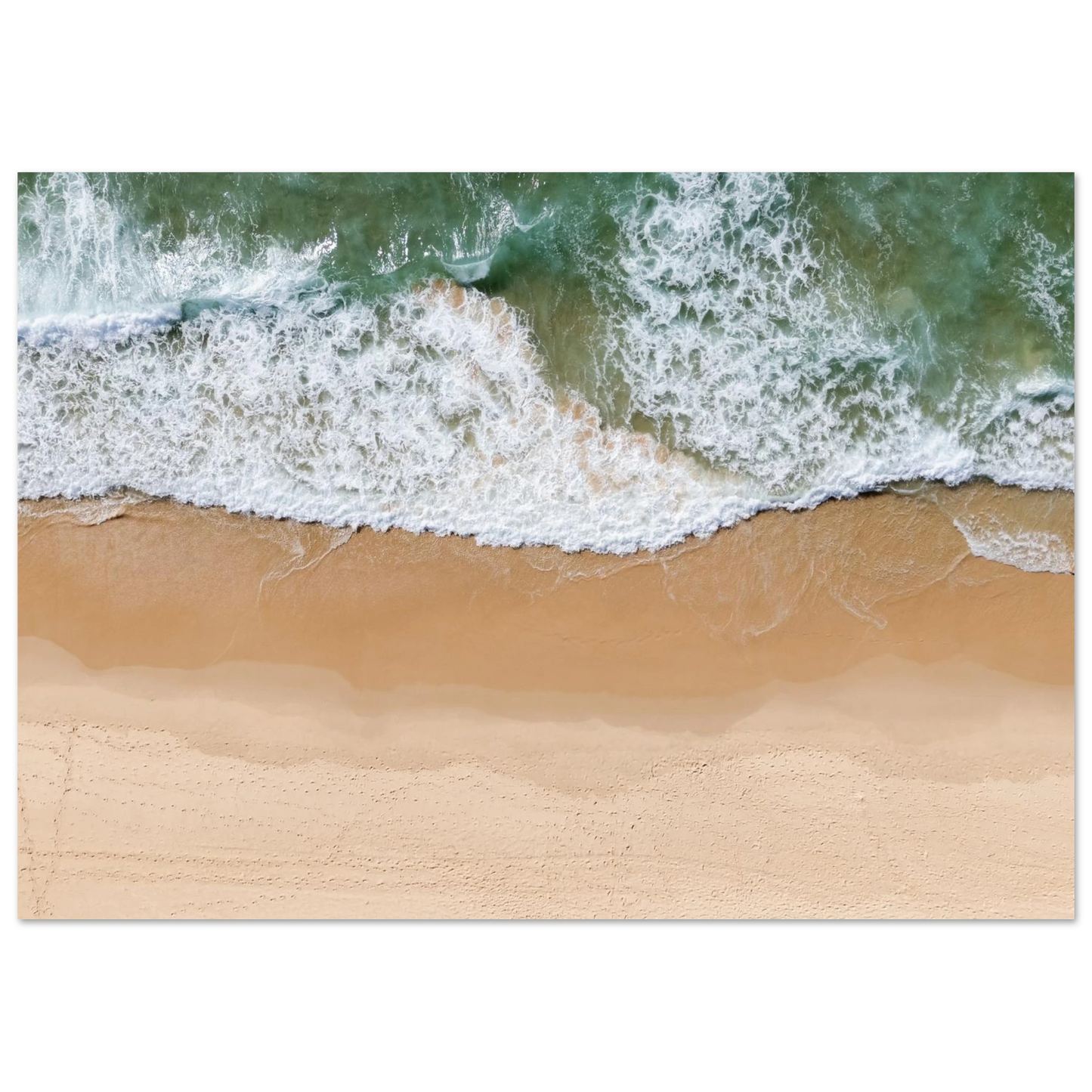 1d4888ee-34c9-49cc-81e0-266593ed8498