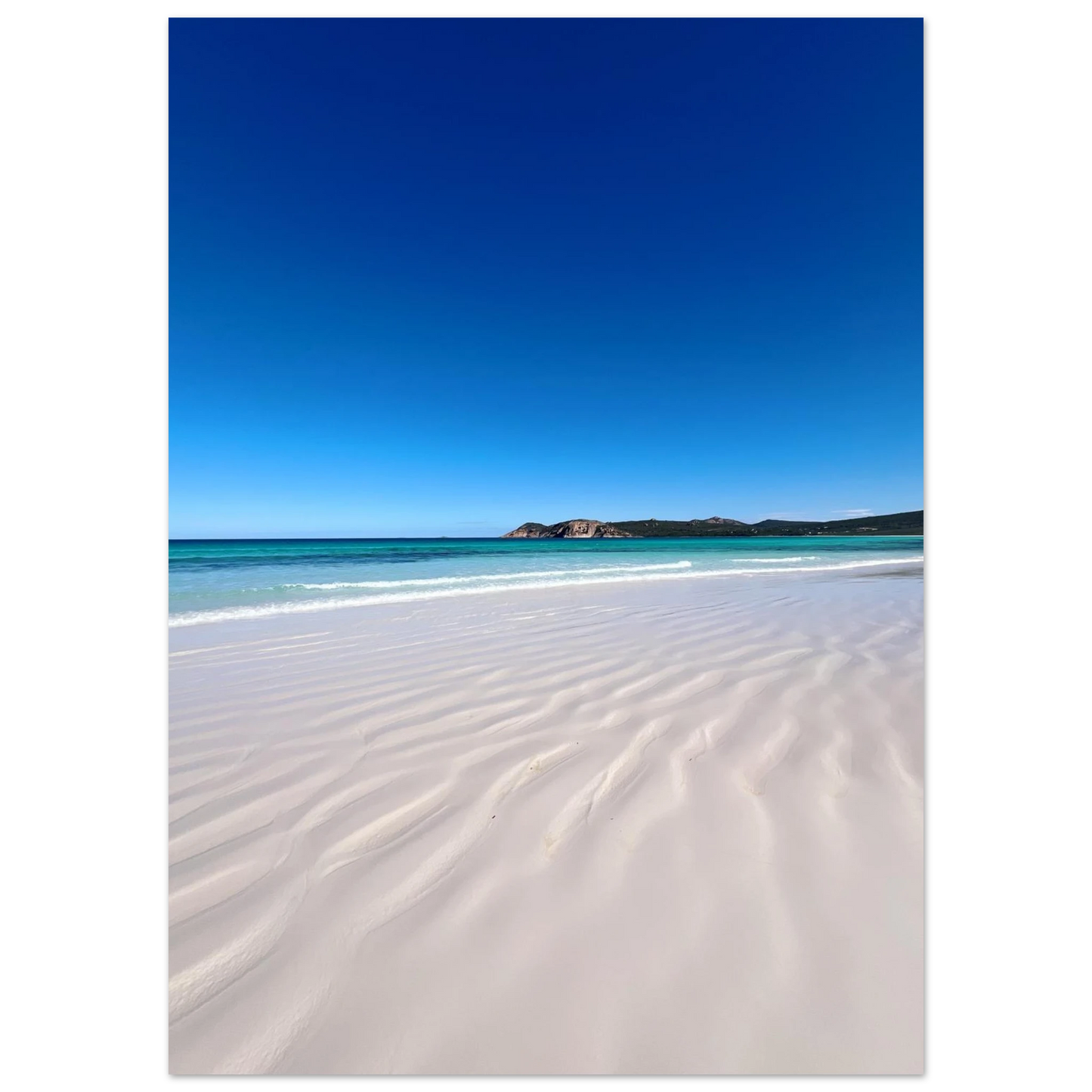 1e4973d9-0ff2-4587-8572-7e12529a4365