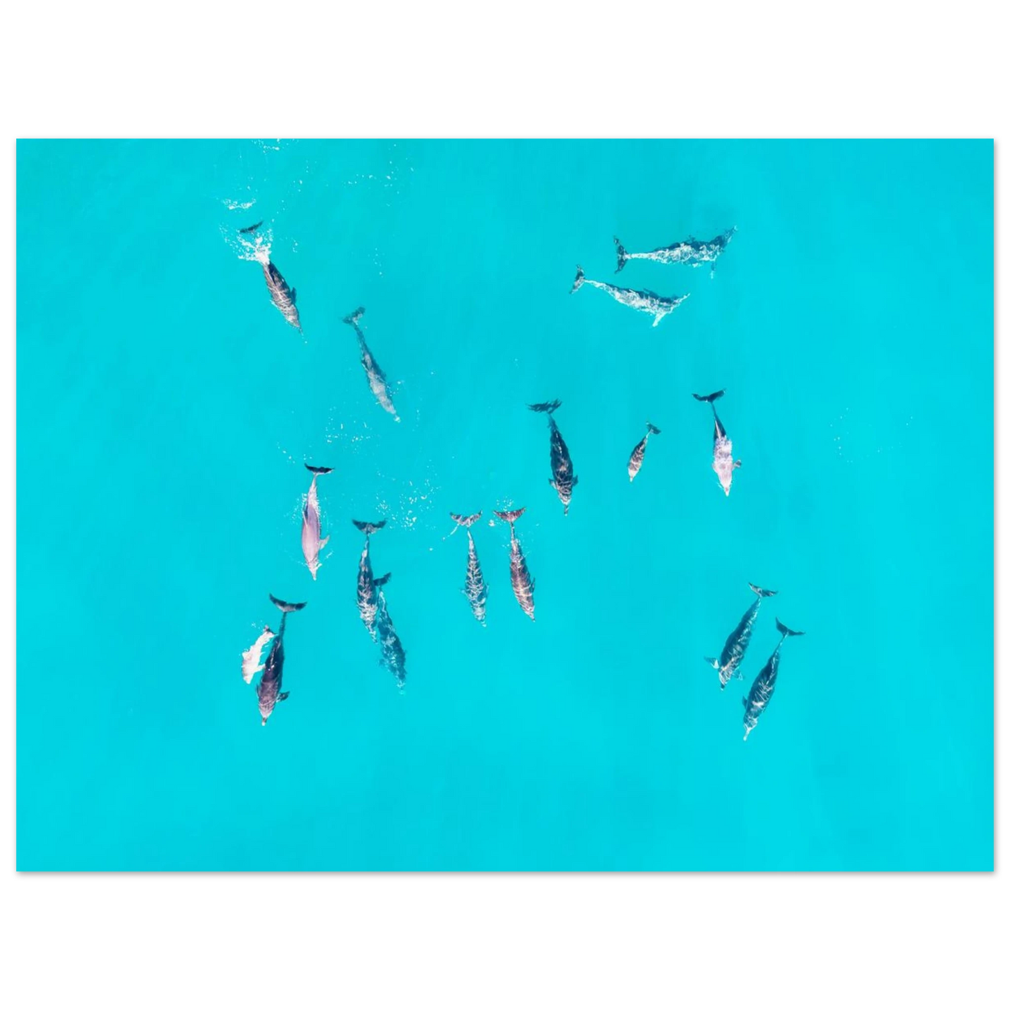 22de744b-83ef-4f6f-abb4-0f72aaf5c38c