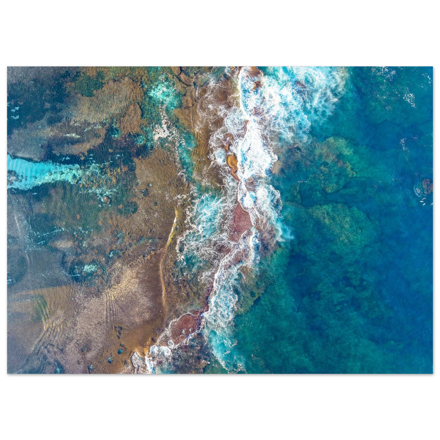 2508b2f5-1c1b-4696-8b98-bfca8d63818d
