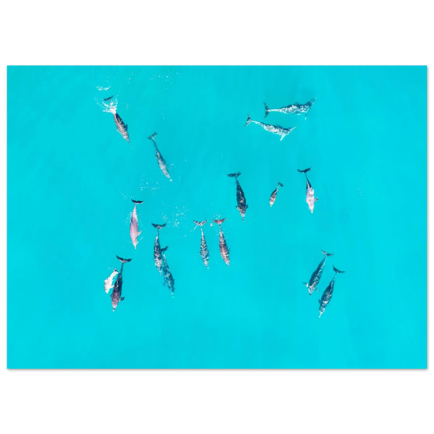 26026e79-ca54-4437-b219-f620acaaac79