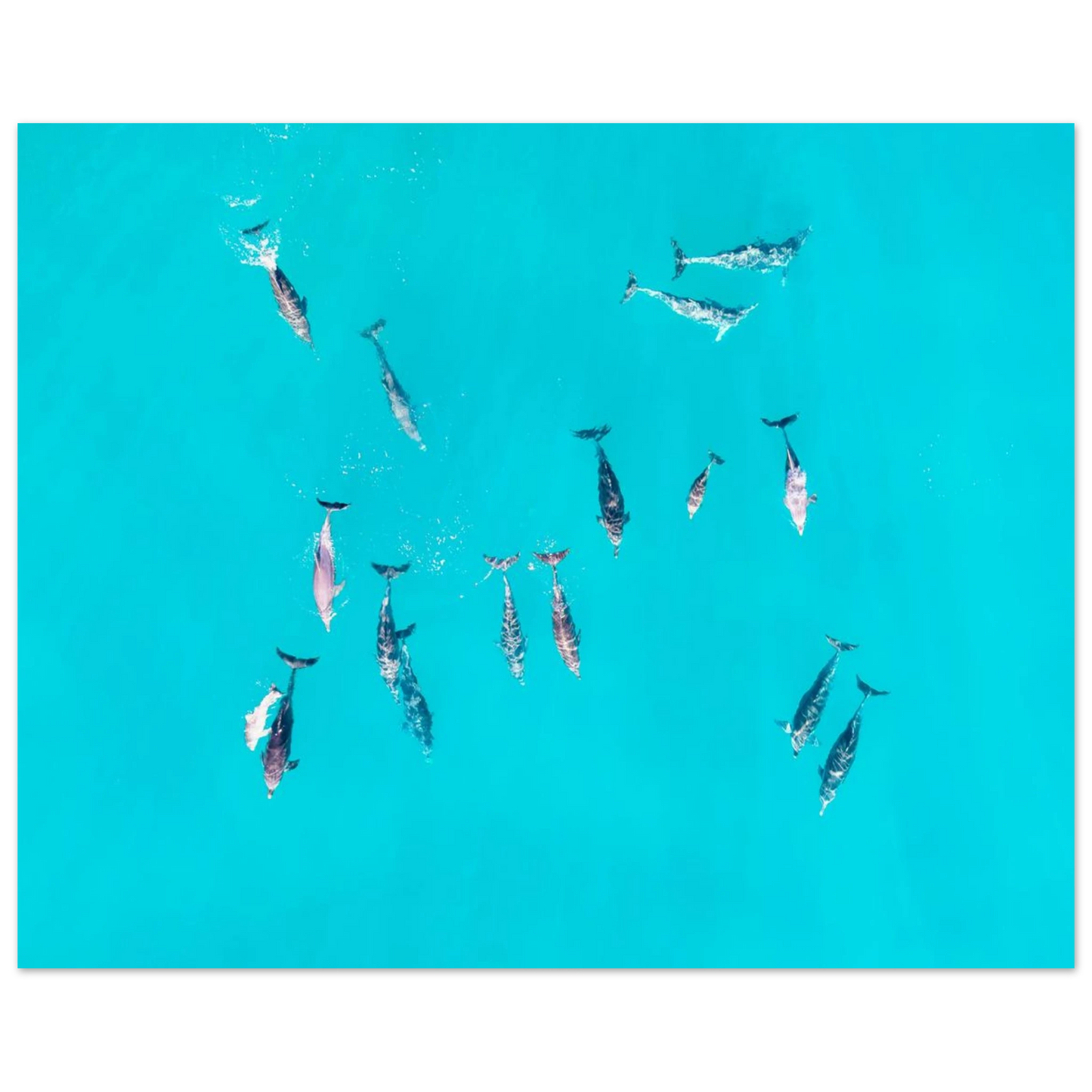 298be237-93fe-4c81-b475-89e58641ca5d