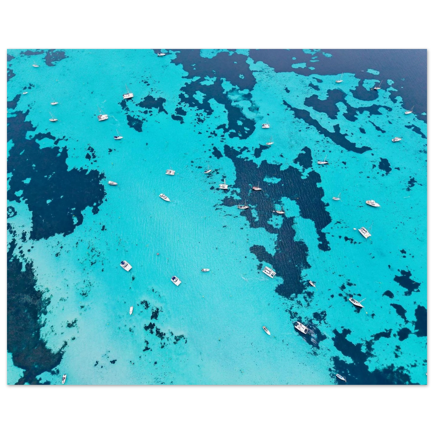 3c172ebc-a0e4-4c9c-b6a5-d39017090584