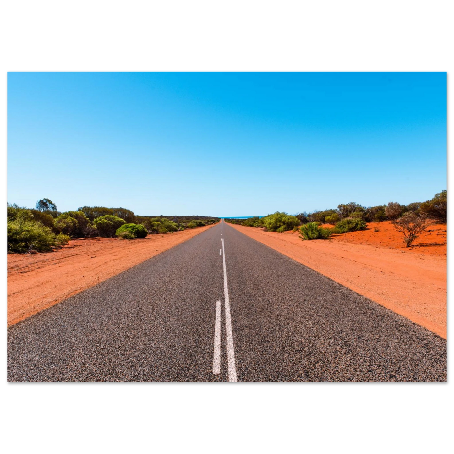 43a23339-0bf0-418e-9c67-1385cc2ab987