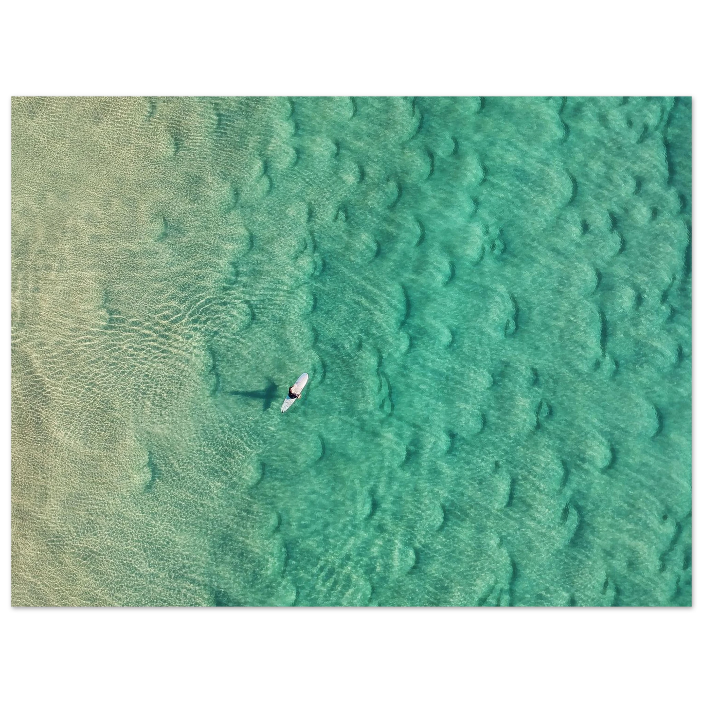 46f6603f-1281-424d-aaf6-e5118a1ed3ba