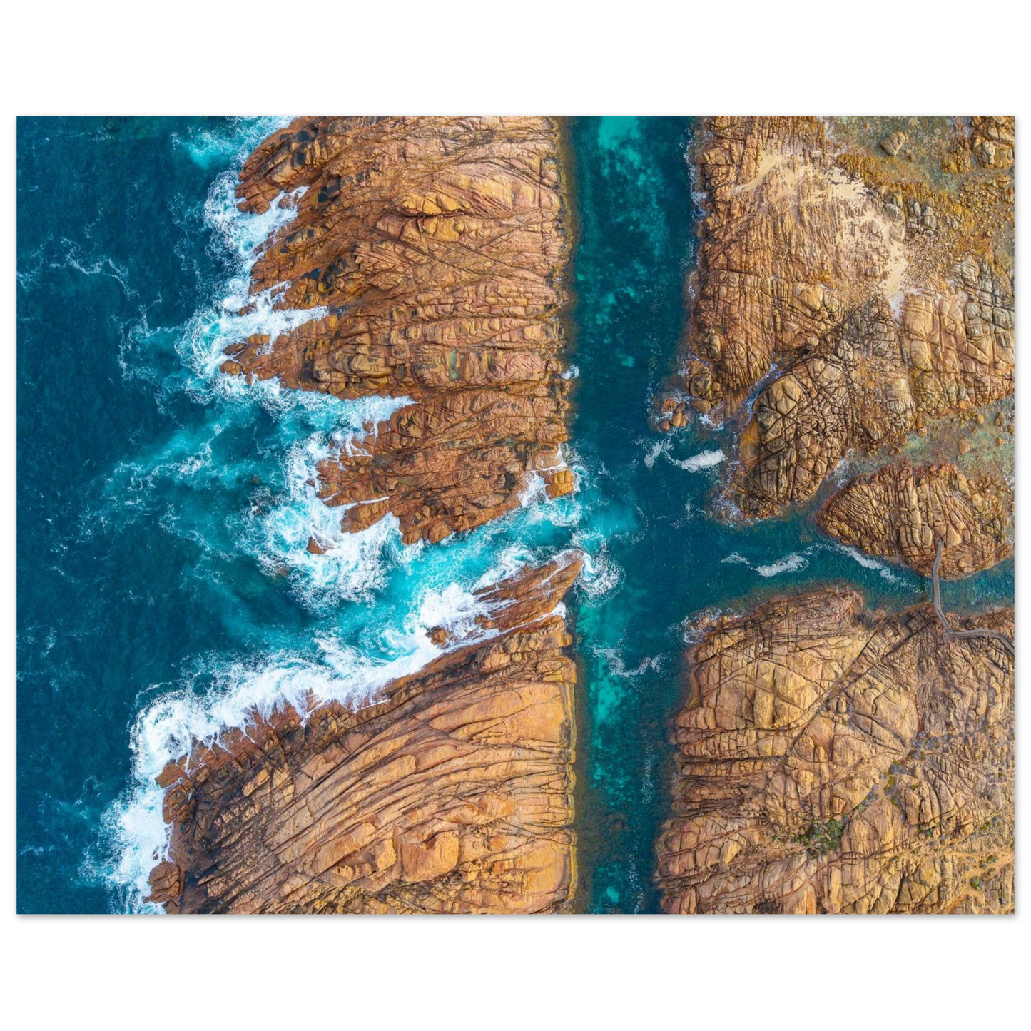 4b9d0244-16ed-4294-afa0-bc22cda4c657