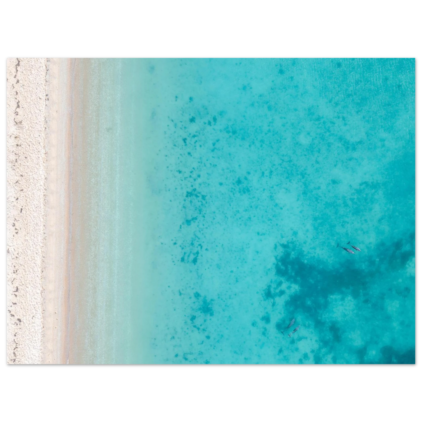 4d725e08-6cea-423d-a95b-d1817c91b85e