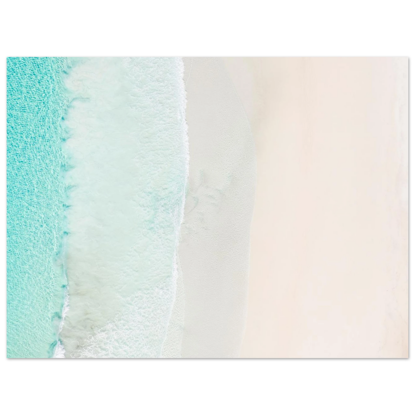 54f49d48-37c1-4ca8-8761-40258e3b0f89