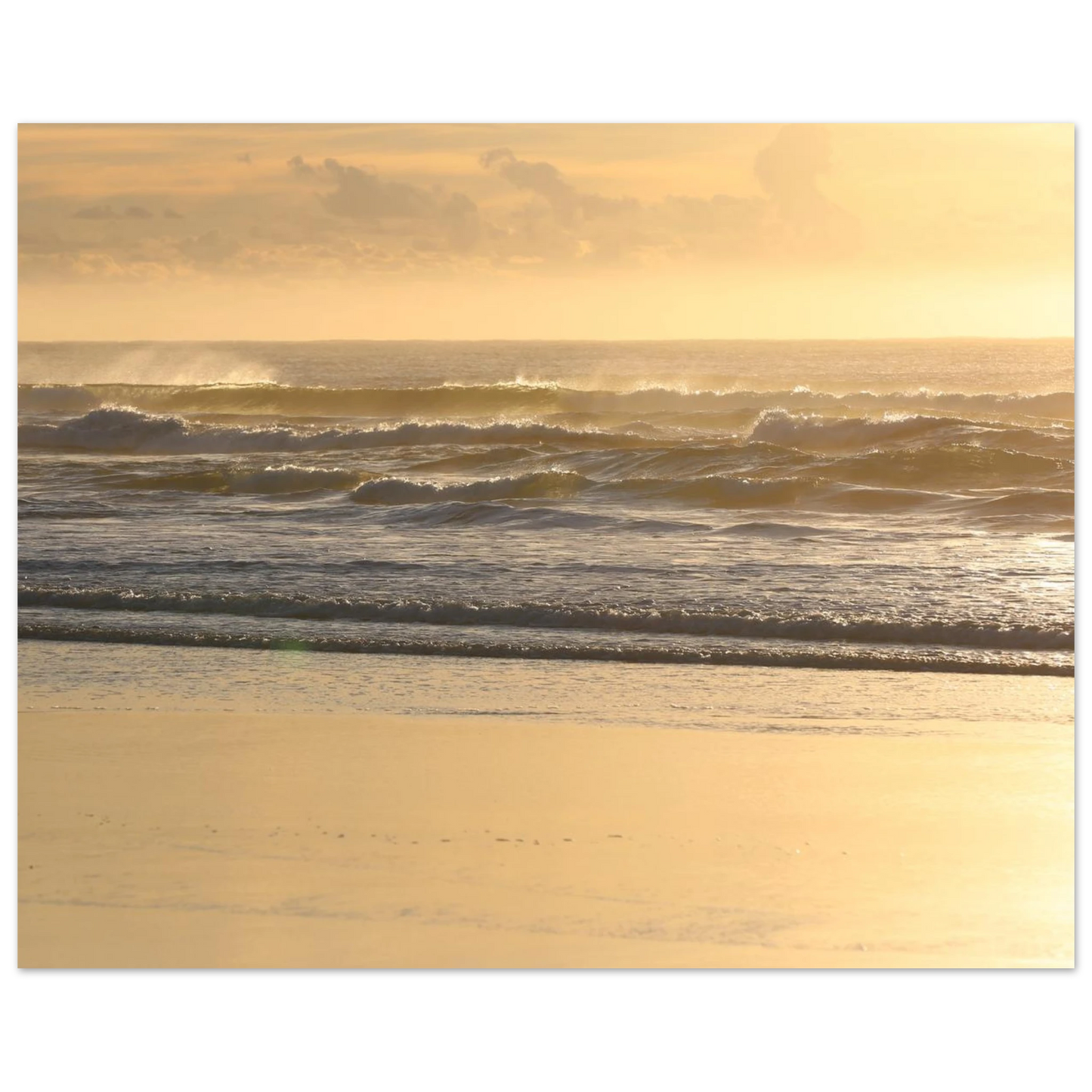 56d74568-2f2c-4b93-920a-0c3c8b7f1b35