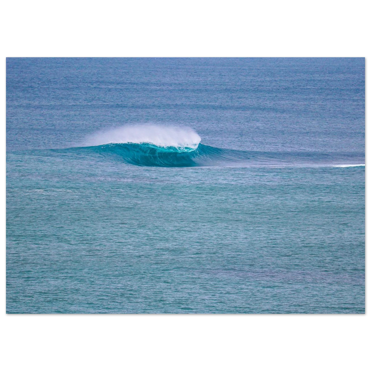655df87e-61fe-4431-b9fa-4e10984e8150