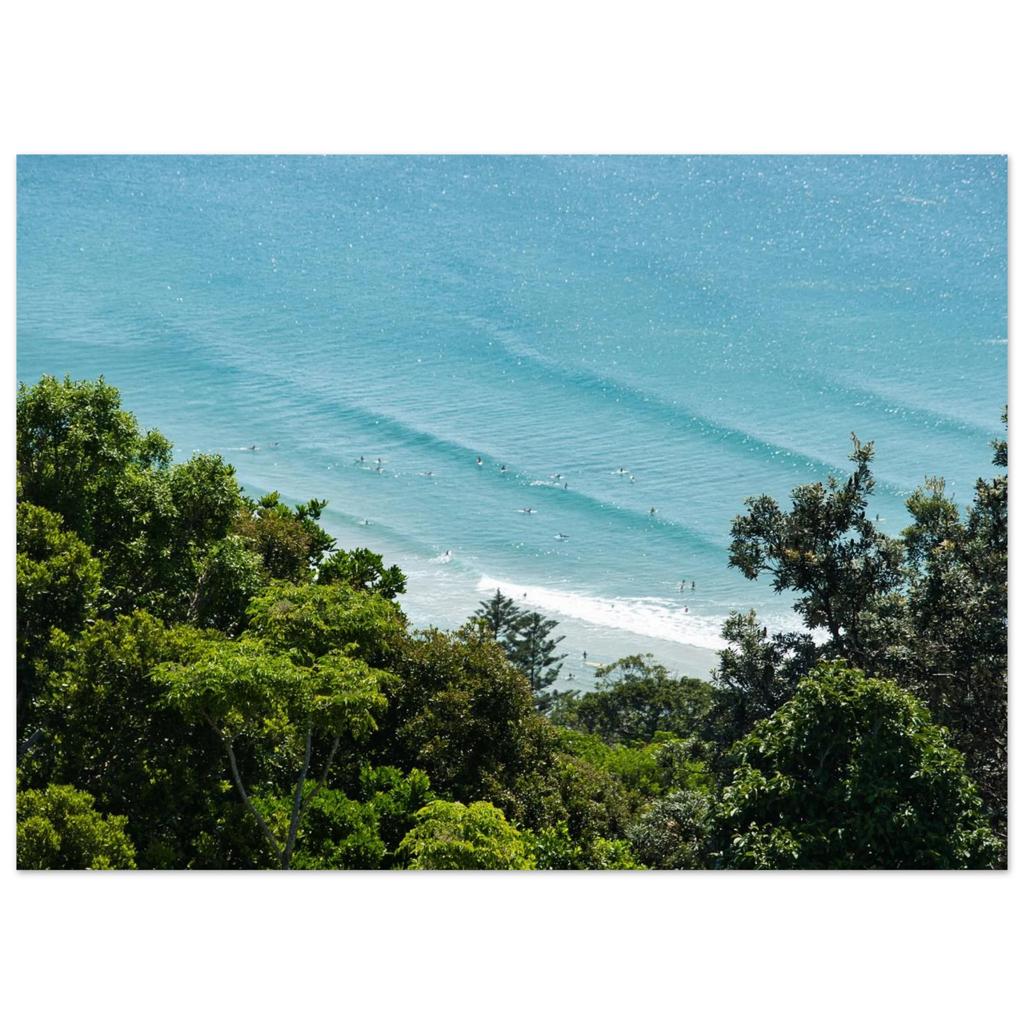 69c37431-f371-455f-a4d5-c4b8cf6c5a4a