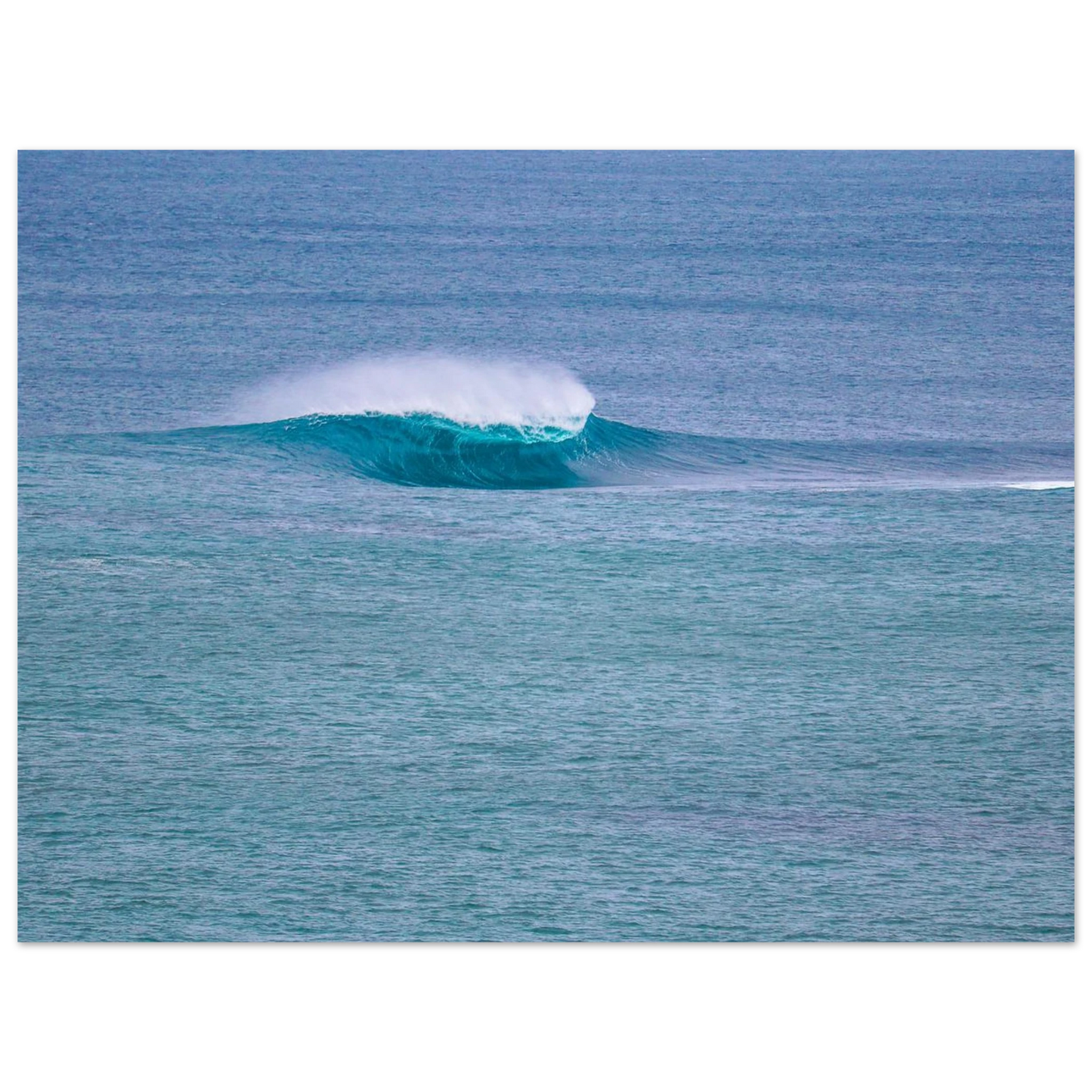6c441cef-e529-46c7-9ac4-7494ff48ce25