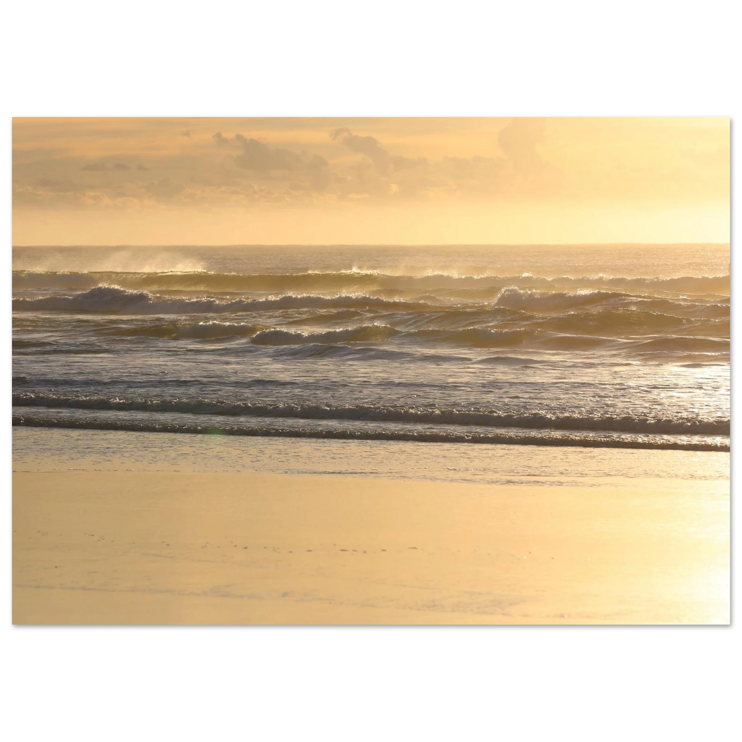 74d1f328-9785-42f3-aaca-0009d0d656d0