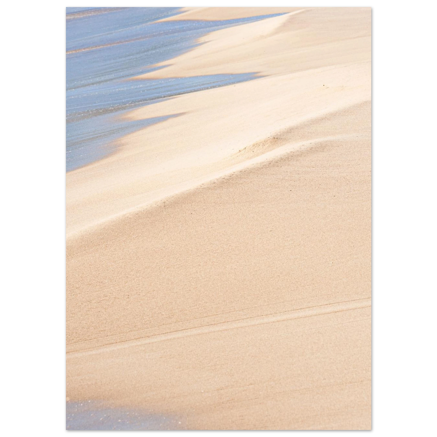 8a07f5aa-6904-420c-bc71-66850d11fd36