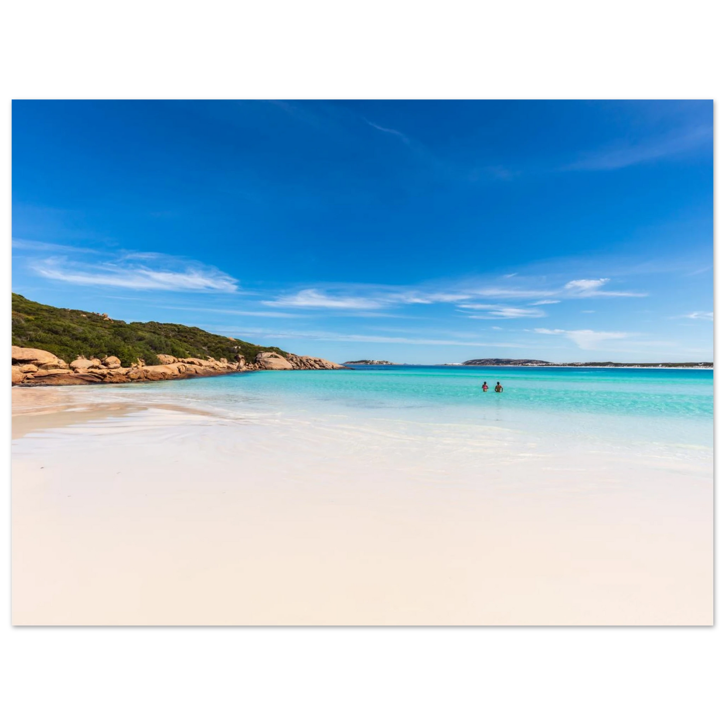 8d0b4167-d461-4606-a221-e509b7e61840