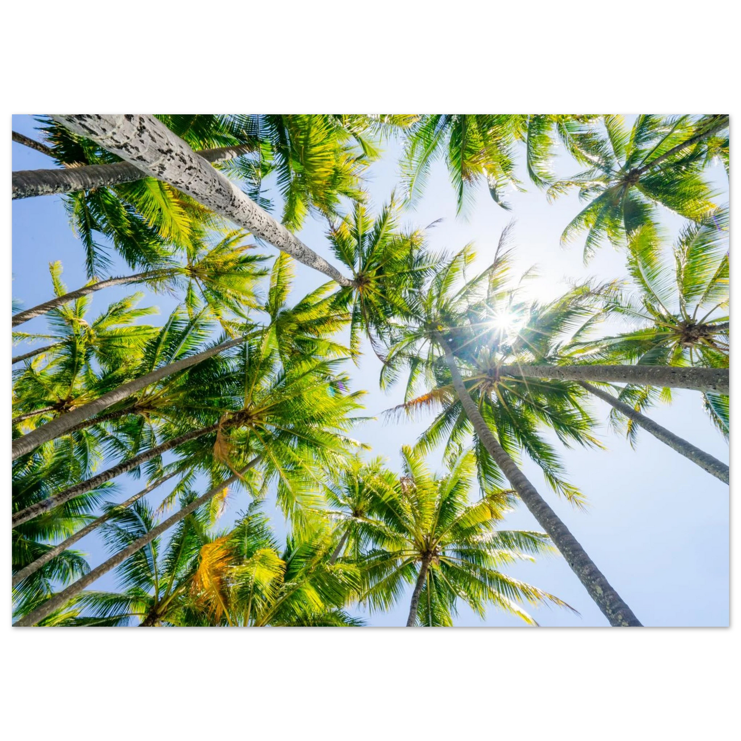 93b3c7cf-5138-4ae1-842c-77c29137e25b