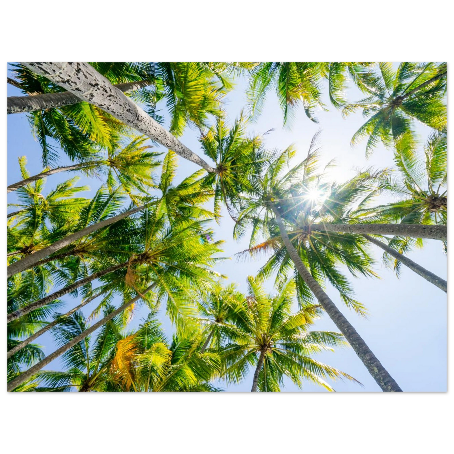 93f21a17-9af8-44e6-837e-0588c7239112