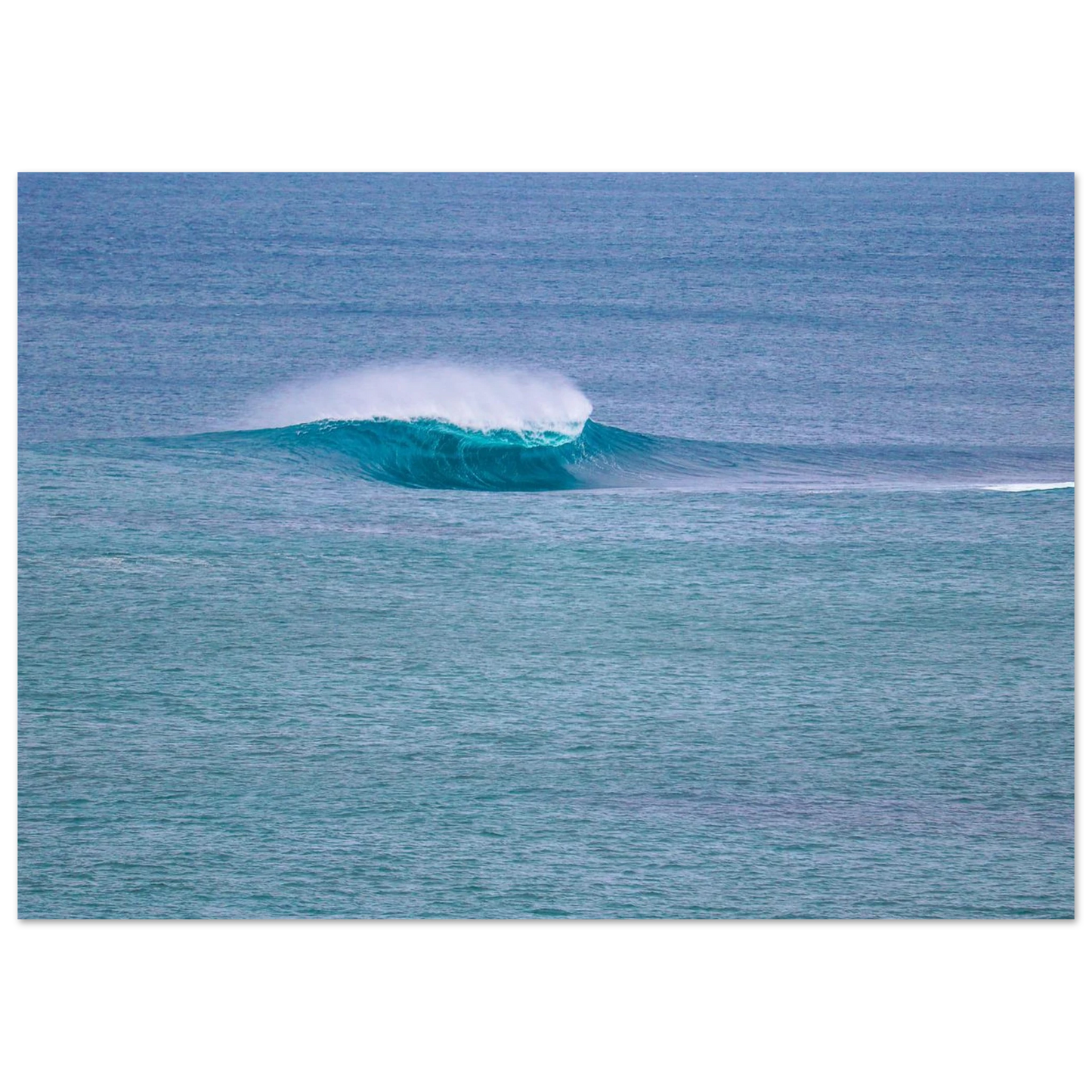 a0d5b591-8614-47e6-bb3b-a24ffeb8d2ab