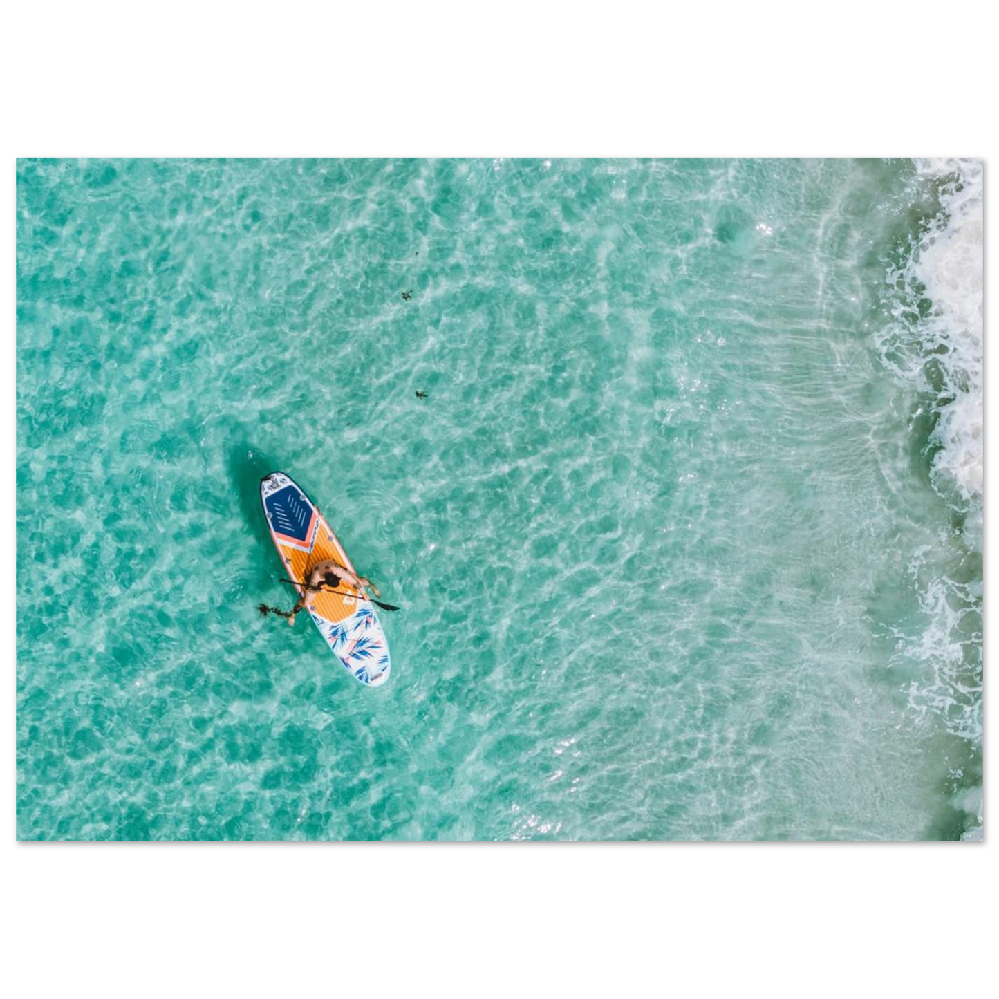 b78e779a-f548-486d-ba82-188b95432942