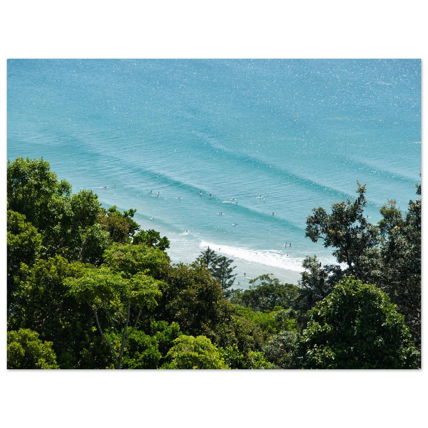 bacce906-f950-4b8d-aaf0-d87ae18c05d6