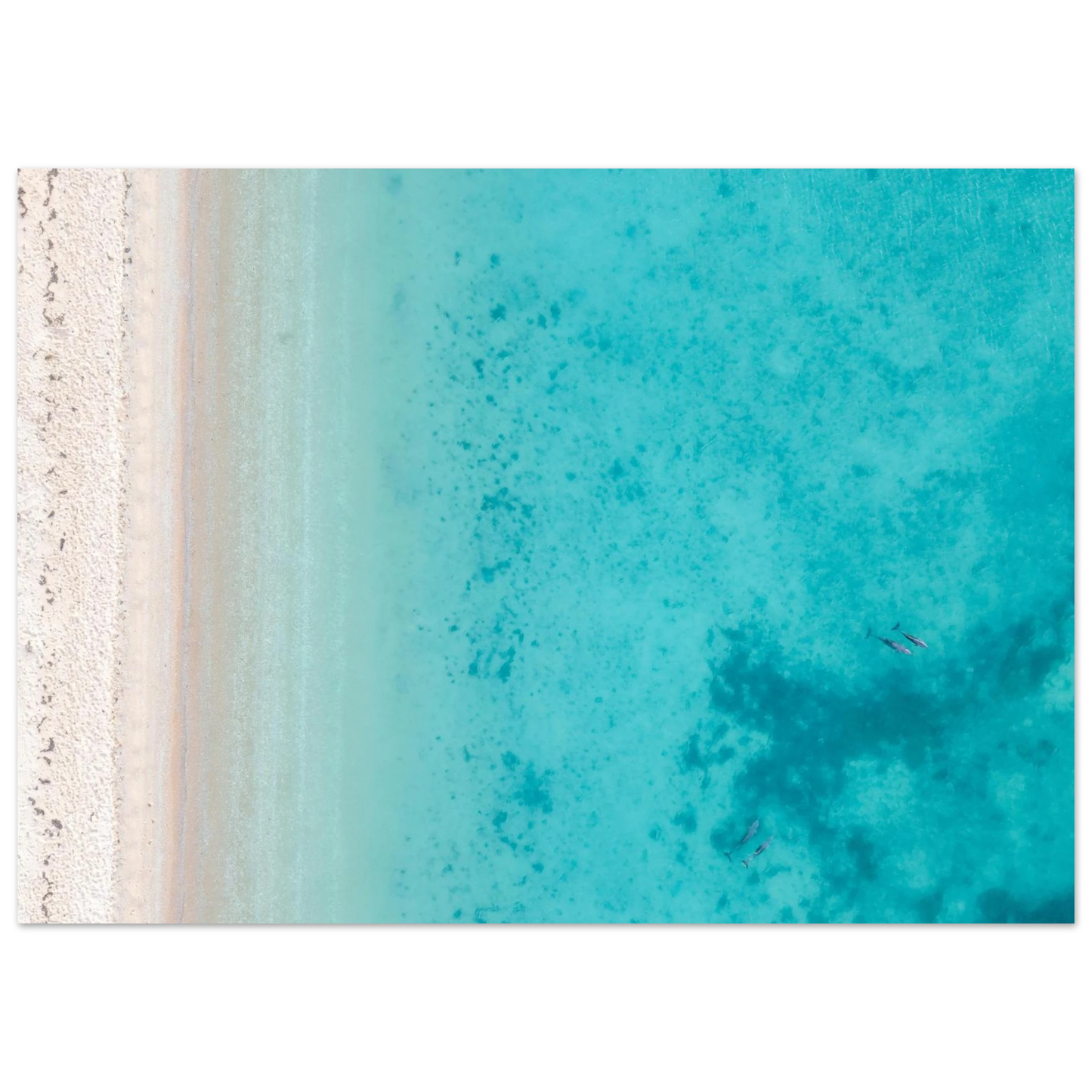c18f9adb-0a1e-497c-aec4-f2b3ff1c27ab