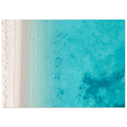 c18f9adb-0a1e-497c-aec4-f2b3ff1c27ab