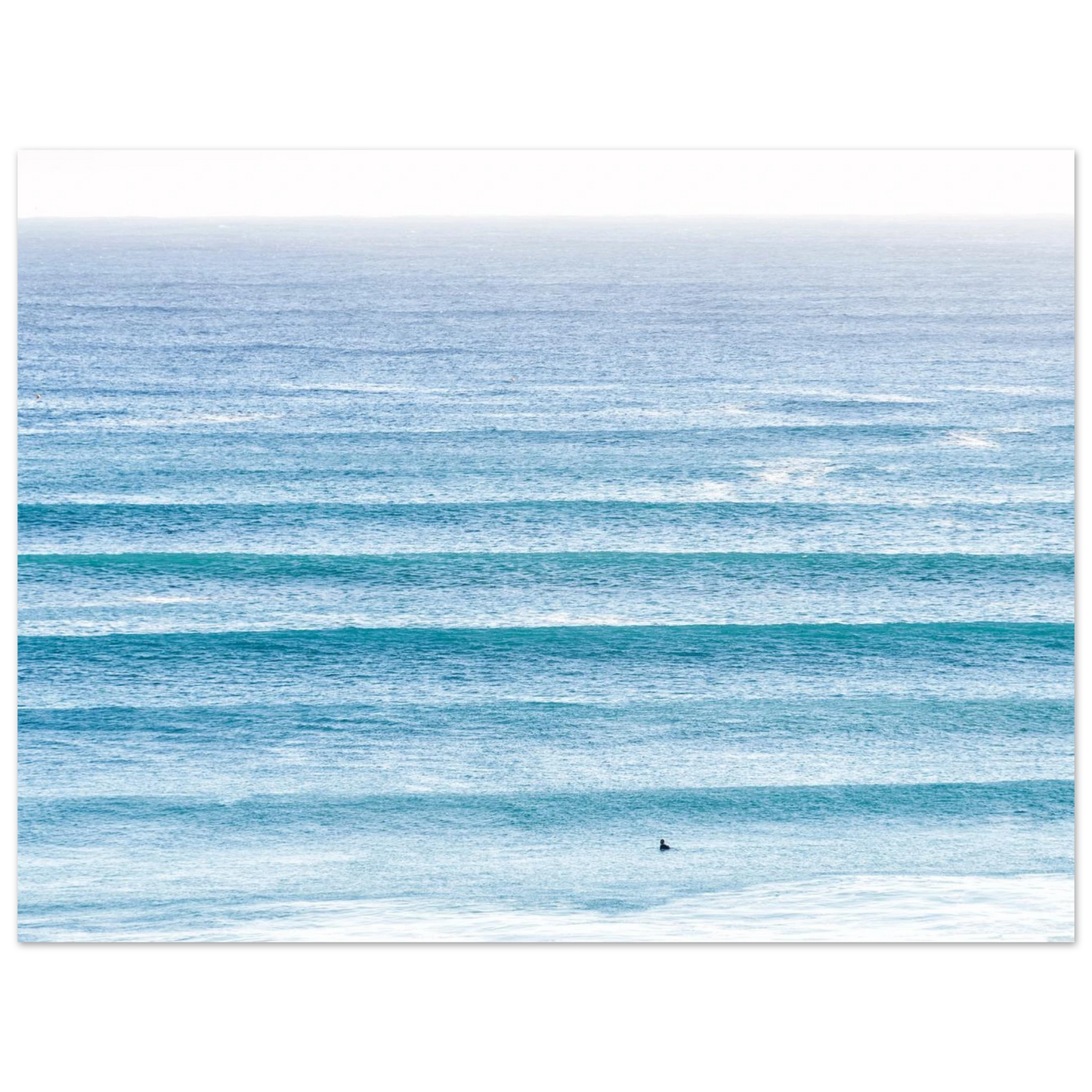 c287133b-f651-401a-abe6-46d6df9f274d