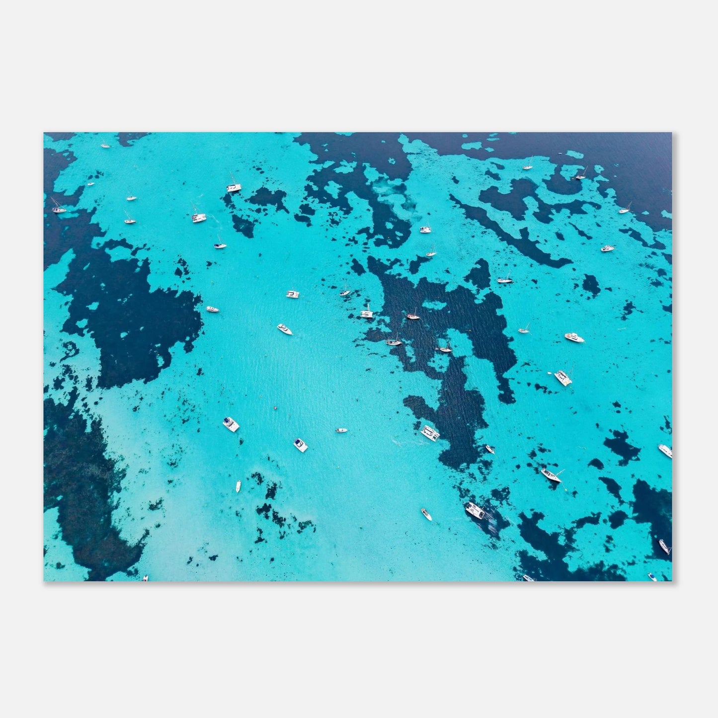 c664deb1-ae26-4905-a66c-e3ee0b1c911a
