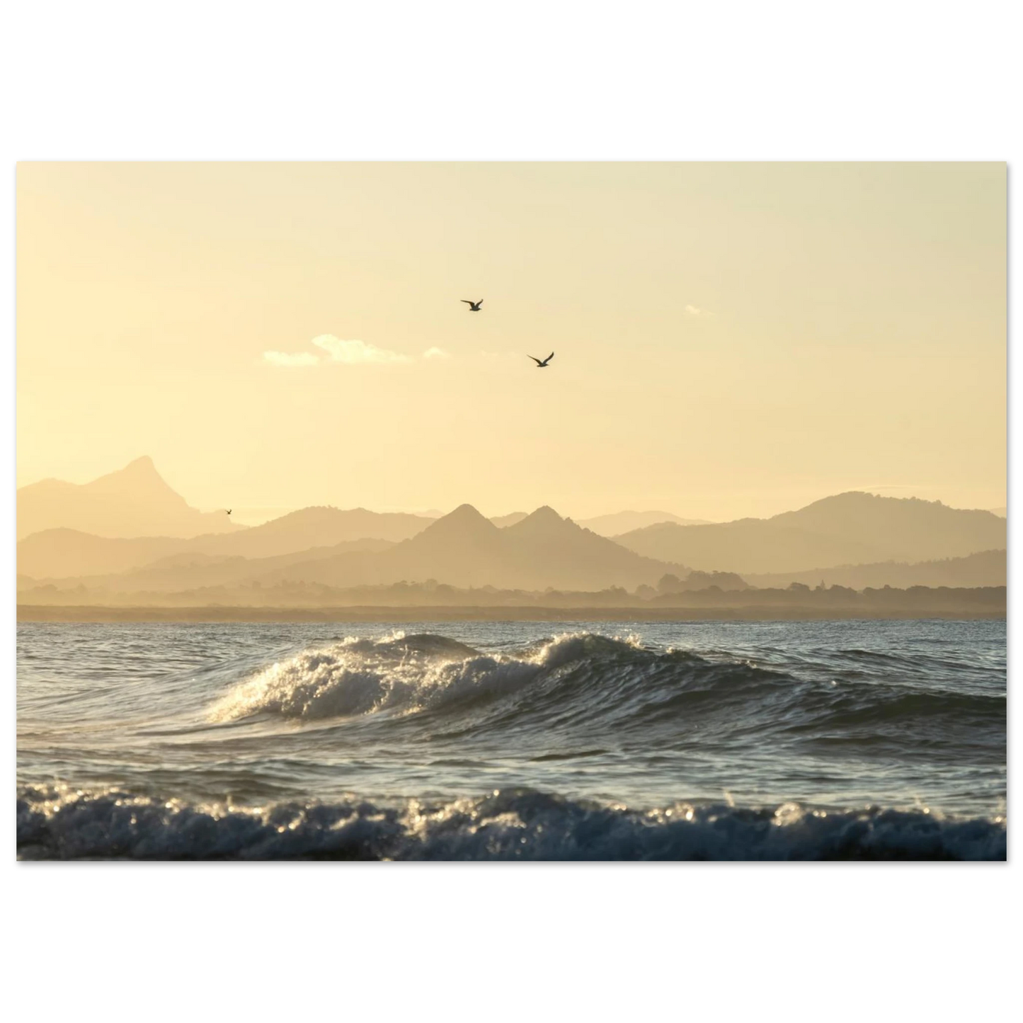 c943c844-6278-4691-bf4d-d7f4340e7769