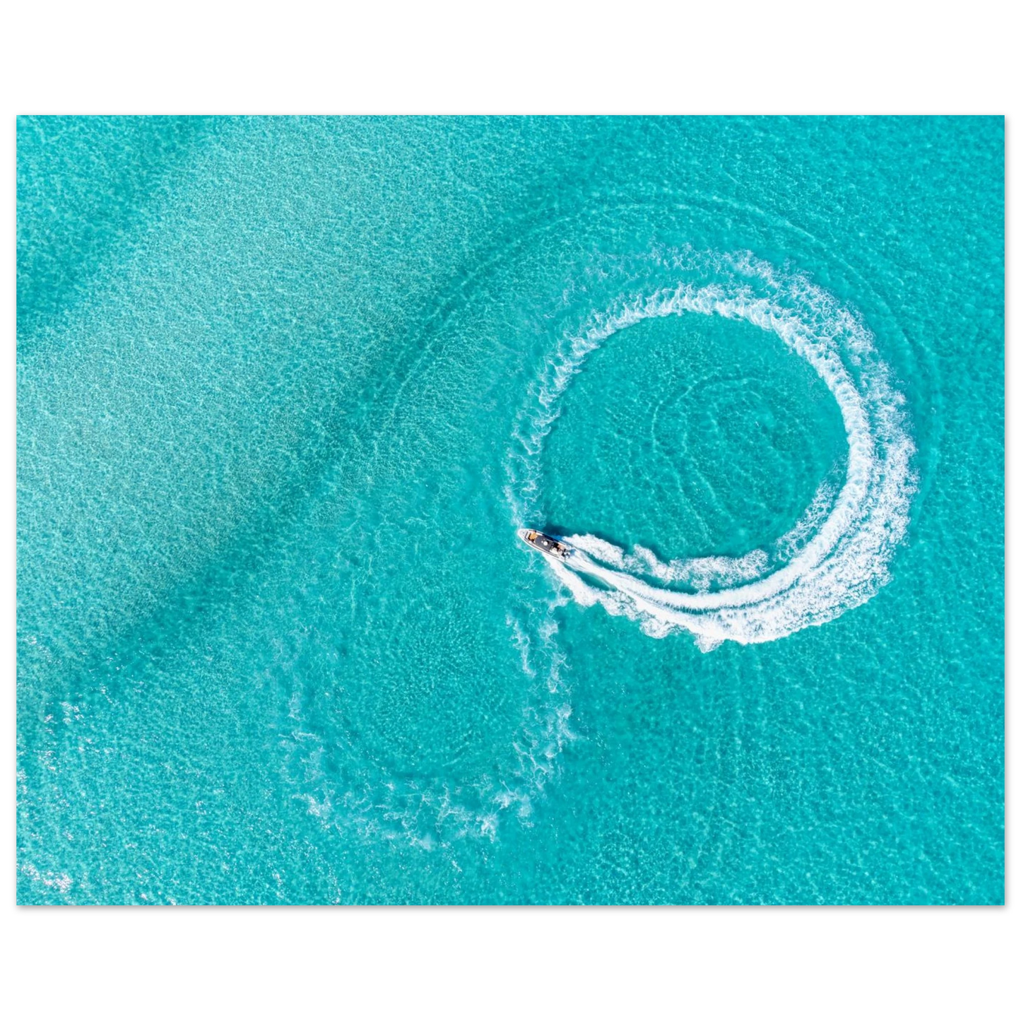 d2f76c89-df21-4e89-83e7-bc5ac3f16f4b