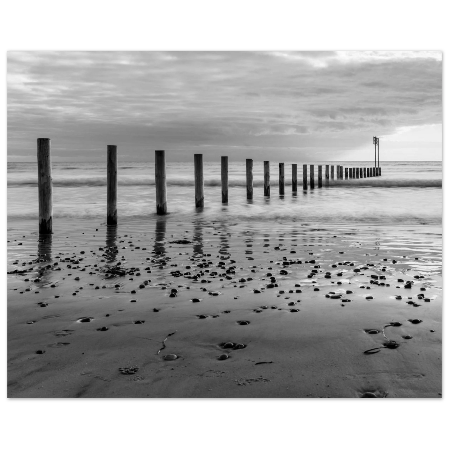 d7a1cd34-4564-41a7-95ba-d705808800cf
