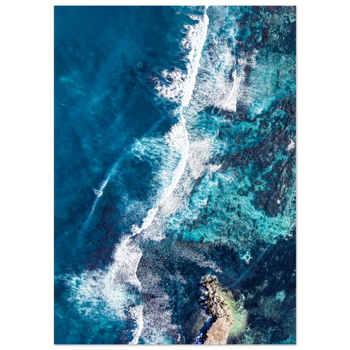 e10d4499-ddca-4dfc-8ef4-452b31bff596