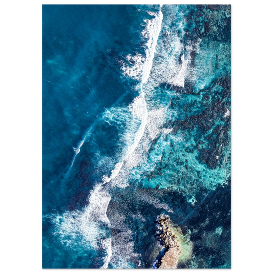 e10d4499-ddca-4dfc-8ef4-452b31bff596