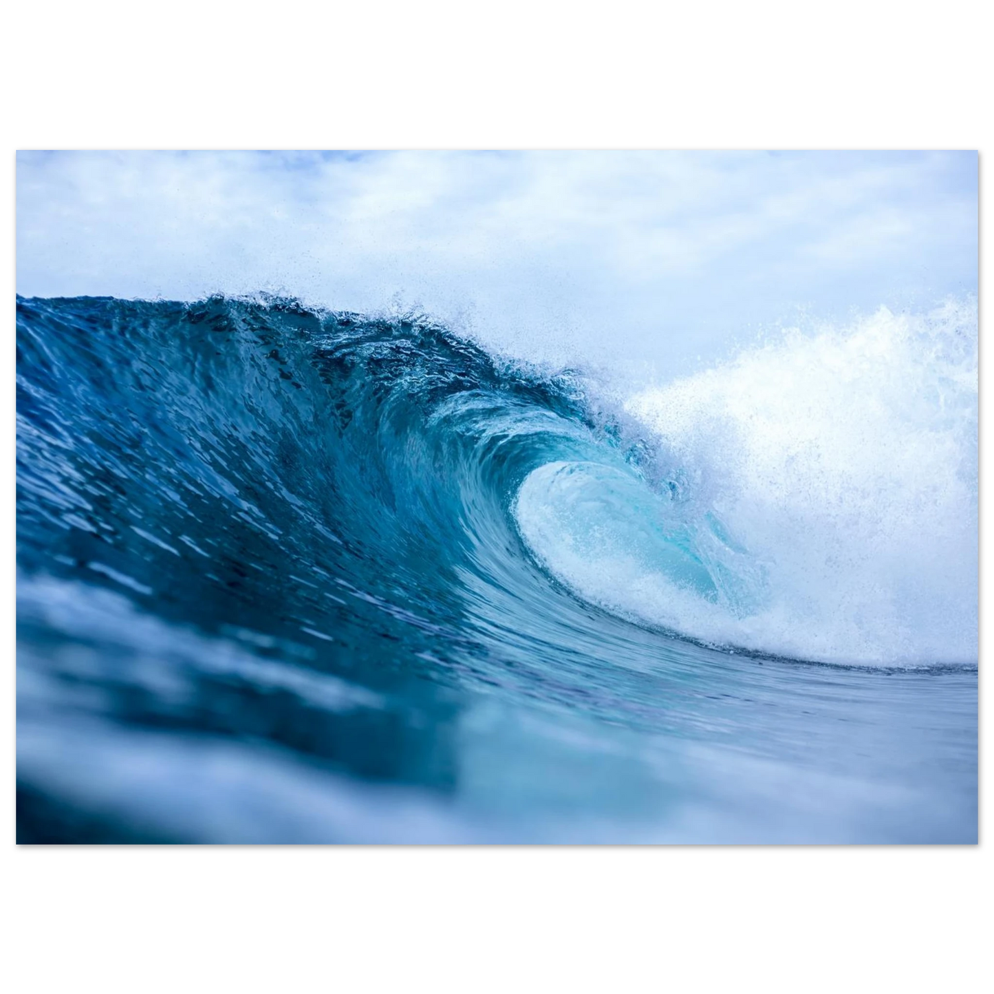 f0130929-d7c5-4051-98bc-cc8bbb48d6ff