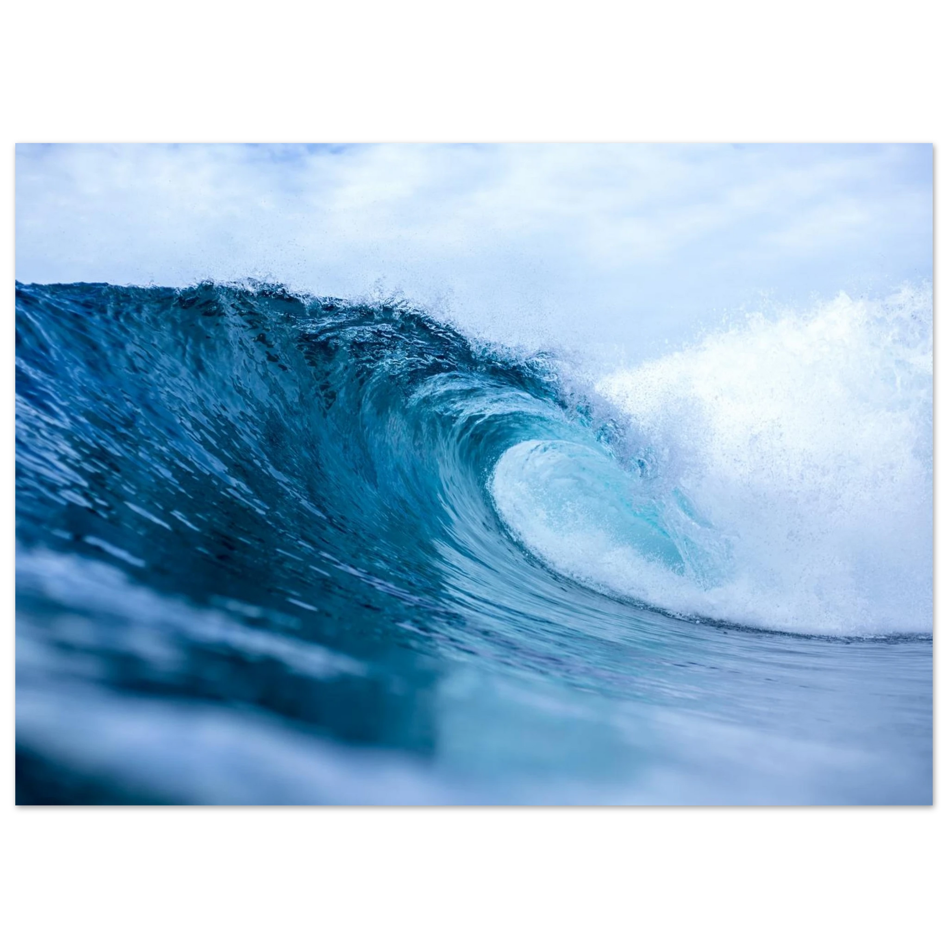 f0130929-d7c5-4051-98bc-cc8bbb48d6ff