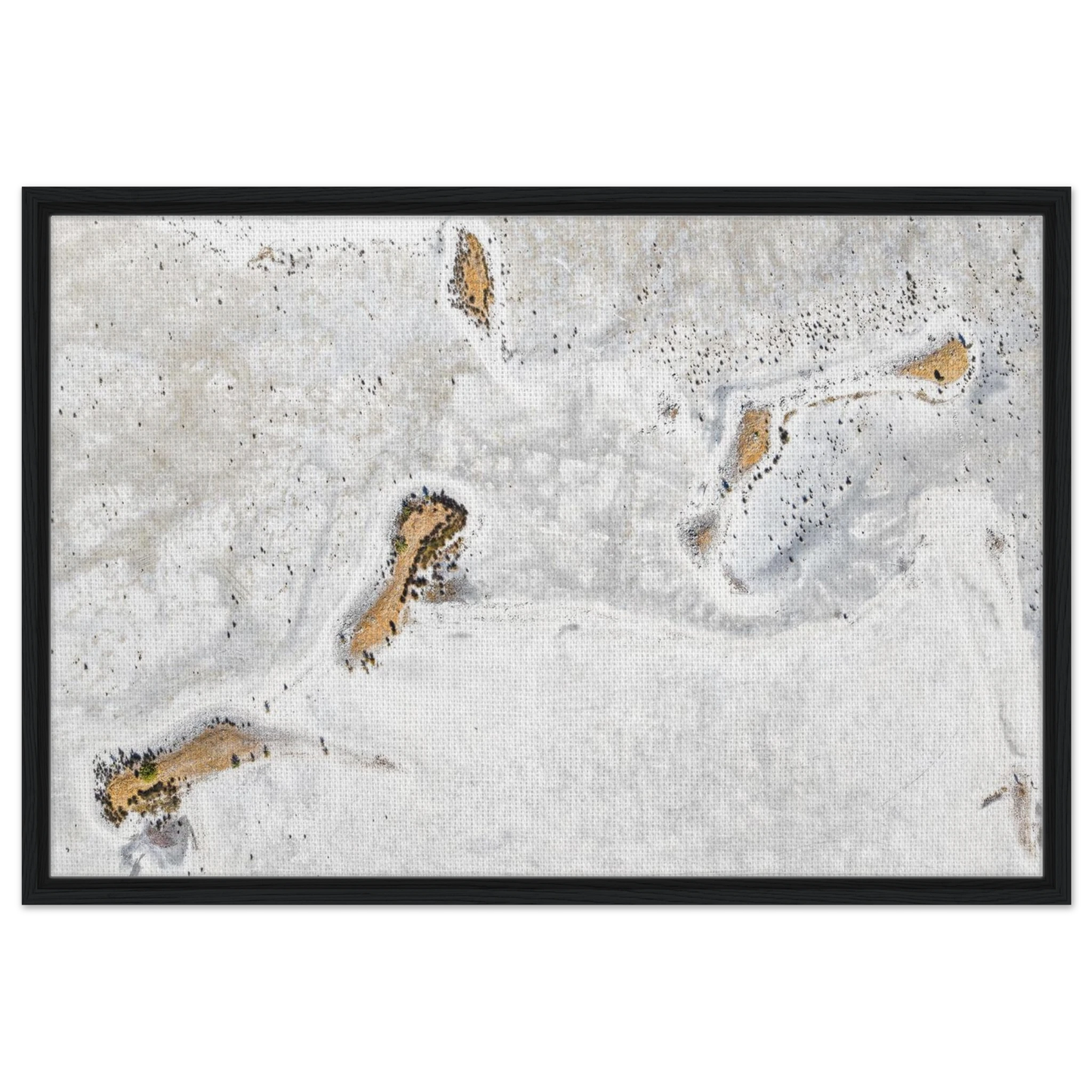 f1d9bf5c-ab72-4abc-a874-50cad0f623ca