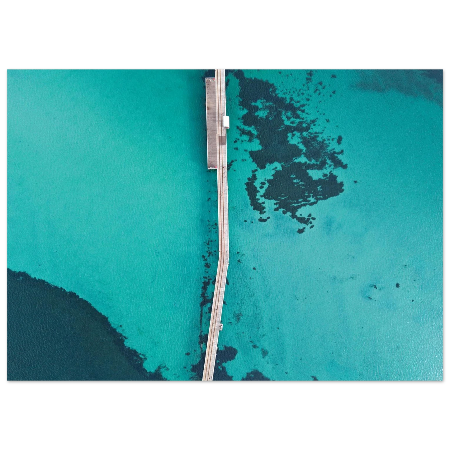 f313c82b-023e-4b6e-a22e-55426575eb48