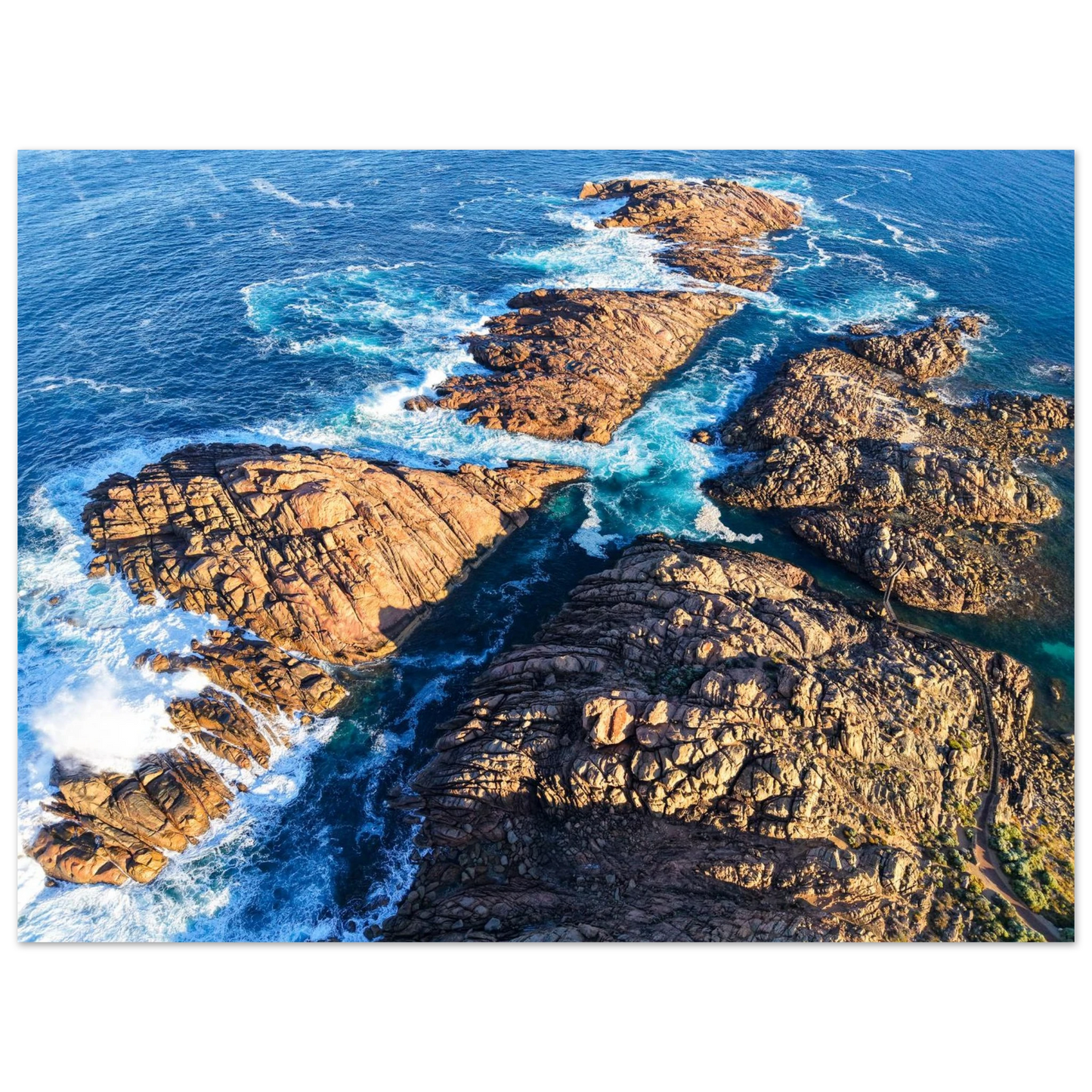 f6099667-3c00-462d-ad92-7e412818d294