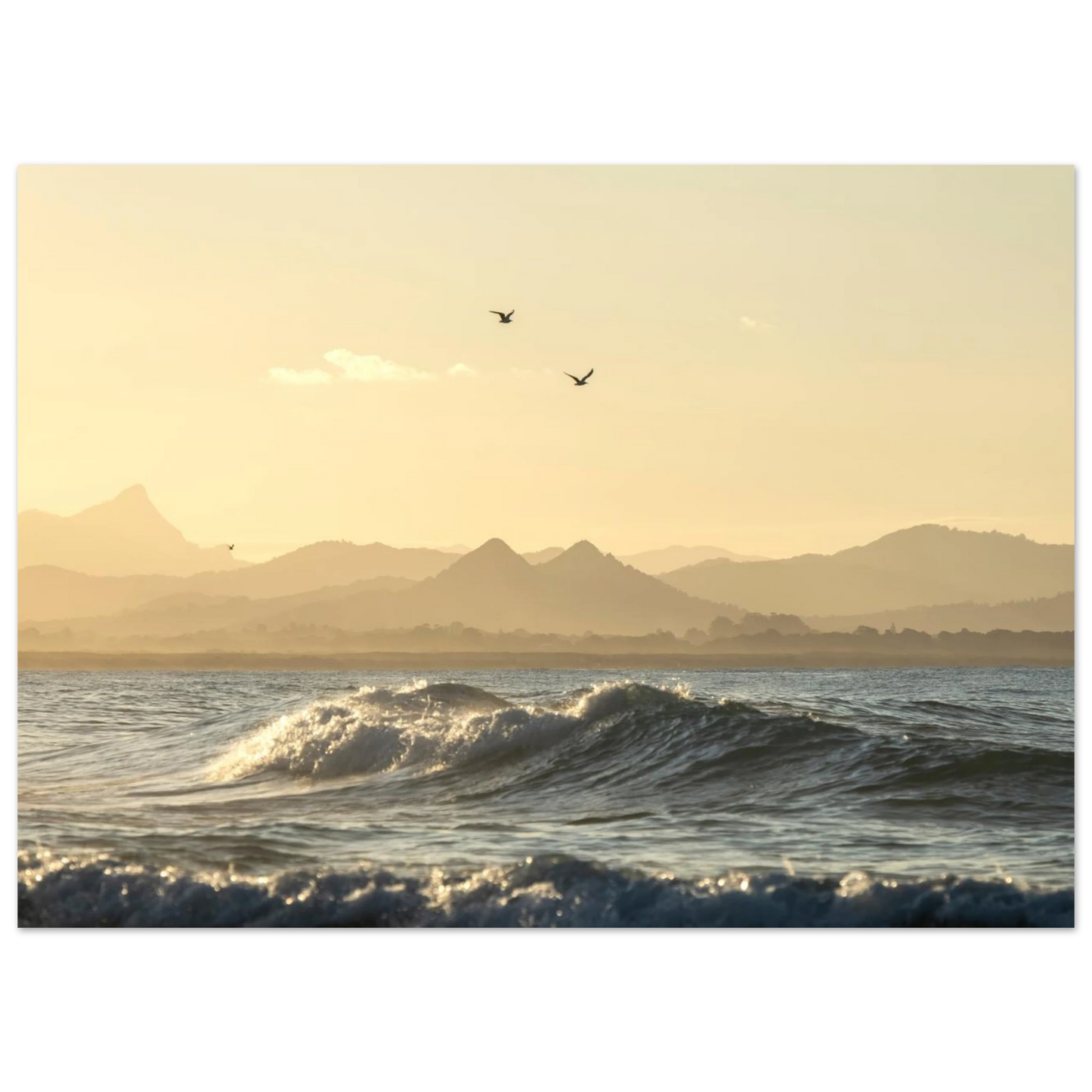 ff00b0f4-6be7-4036-821f-7373ac979f35
