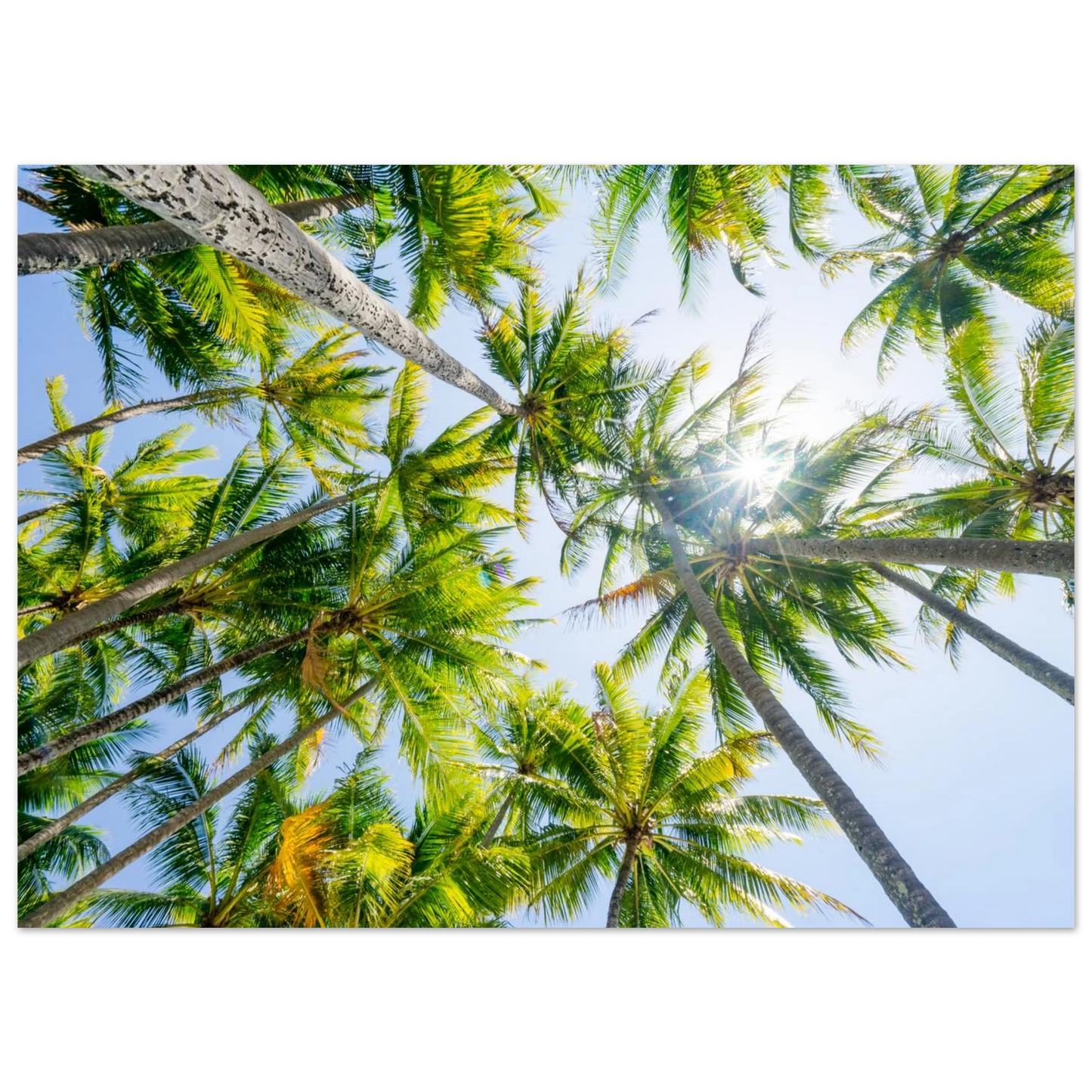 11a518b8-ae04-4795-b344-ff4d232c34f2