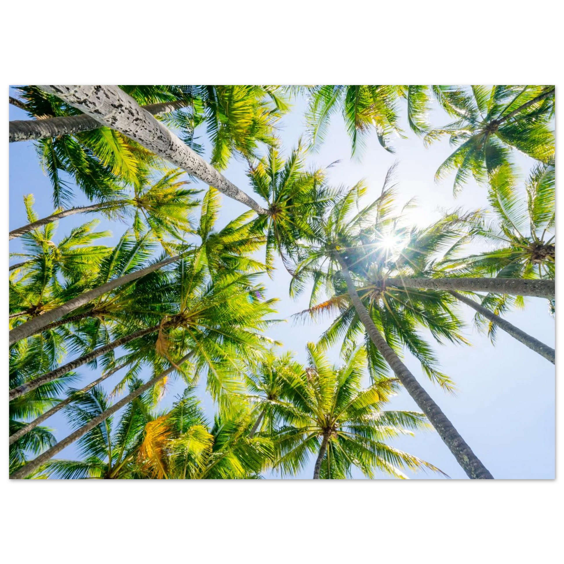 11a518b8-ae04-4795-b344-ff4d232c34f2