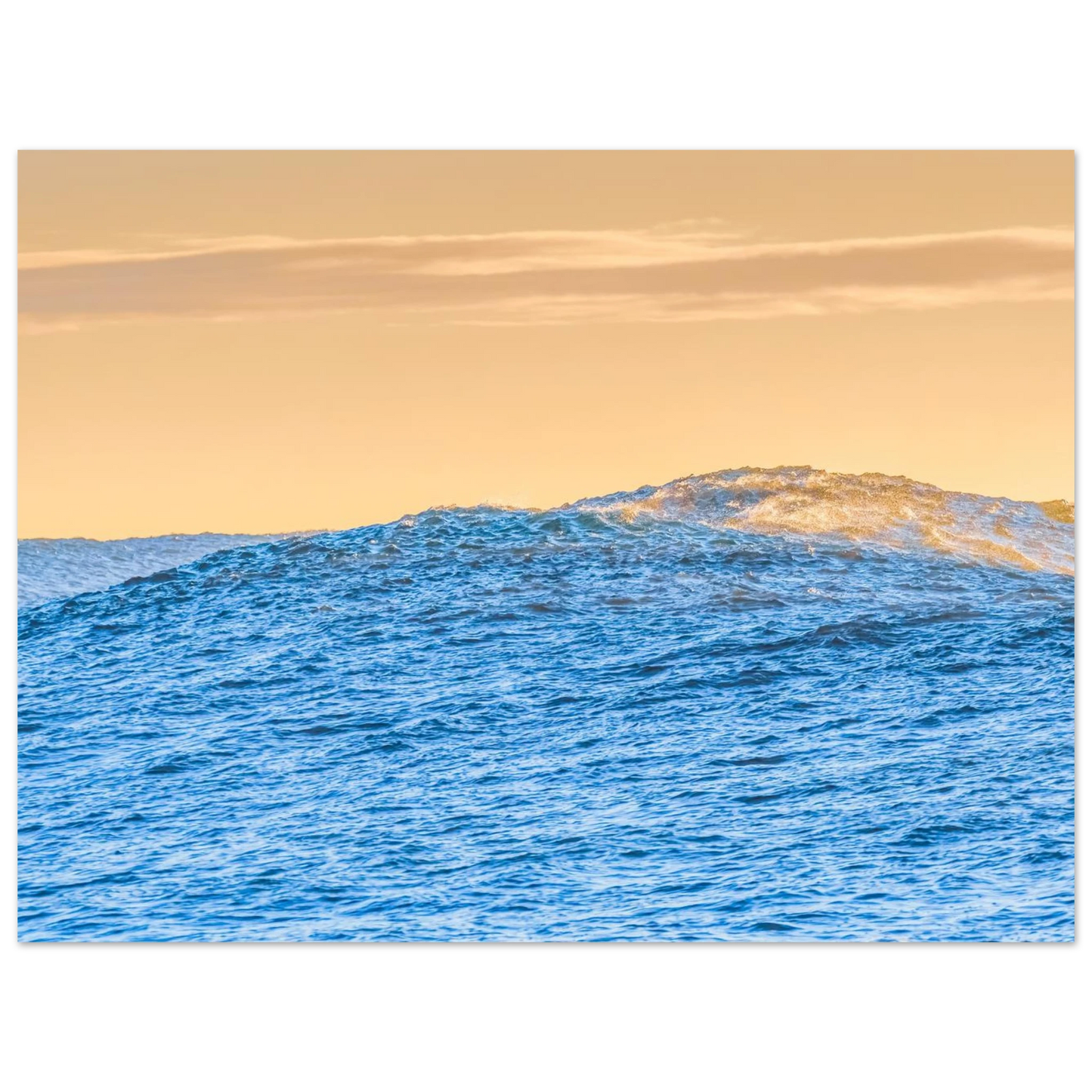1e367d37-0621-4595-abcb-87f1c162d2f0