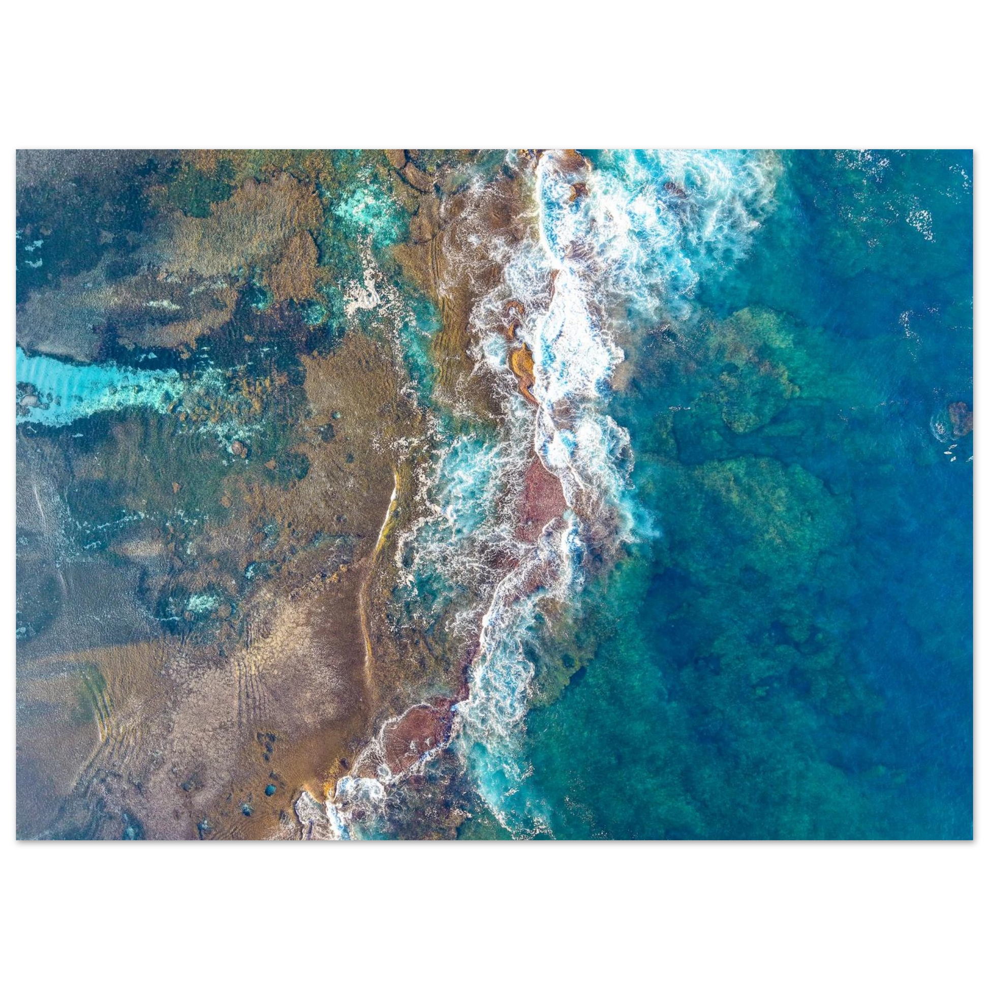 2508b2f5-1c1b-4696-8b98-bfca8d63818d