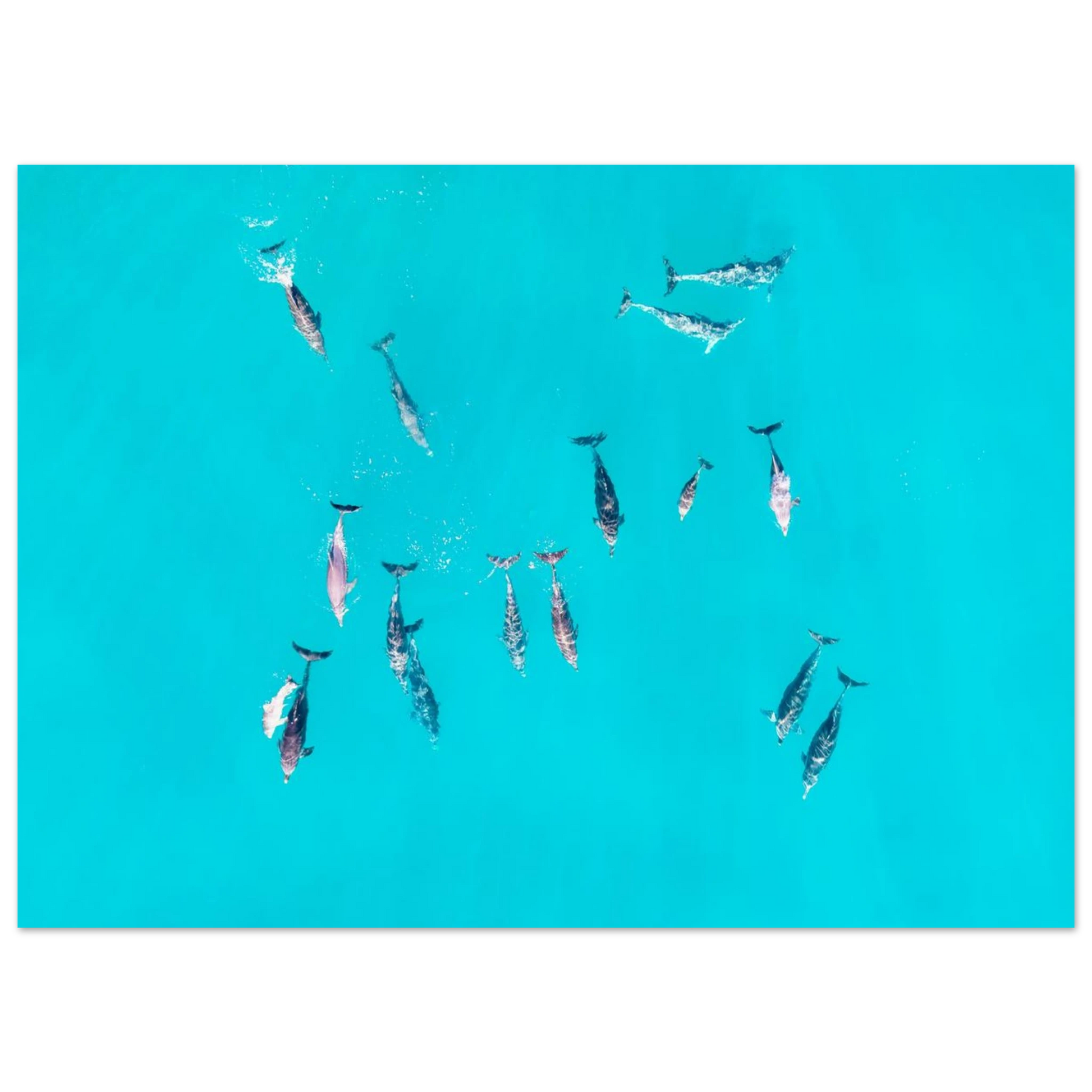 26026e79-ca54-4437-b219-f620acaaac79