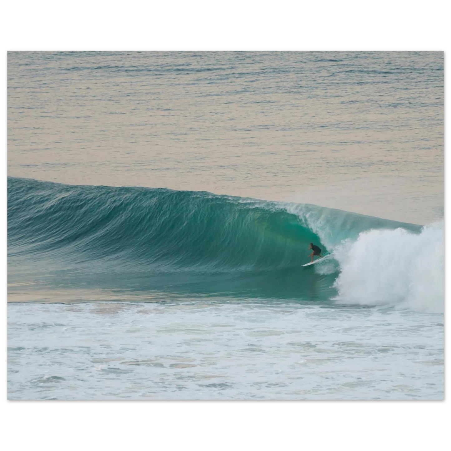 3e32e19b-0181-49e9-a755-42e4cc0e6fd2