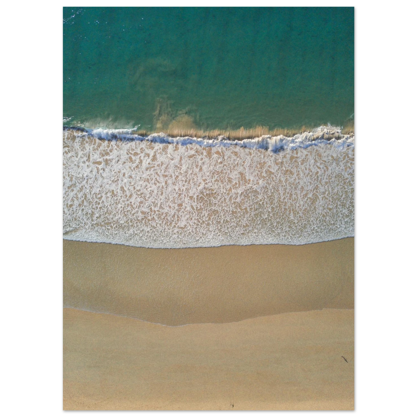 4cea4366-f0b3-4919-a801-f1b6a5892a45