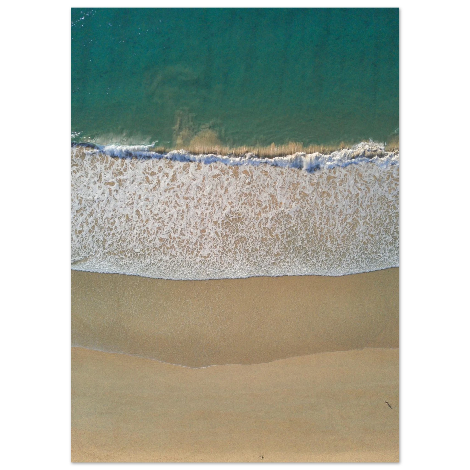 4cea4366-f0b3-4919-a801-f1b6a5892a45